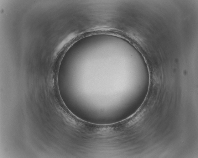 X0000070381406200606121241