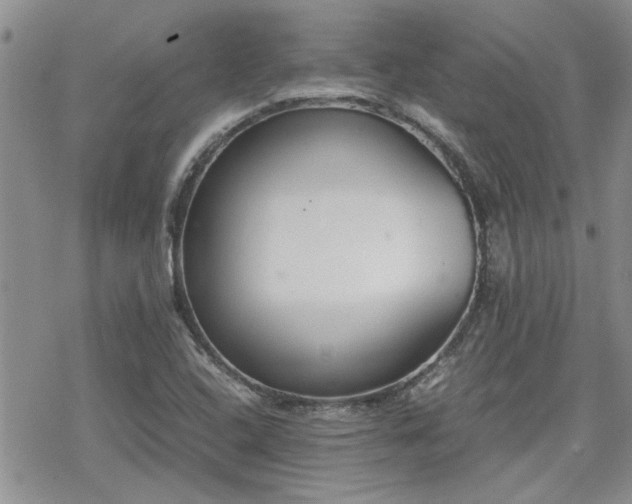 X0000070381408200606121241