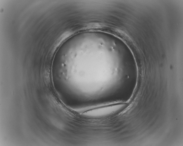 X0000070381409200606121241