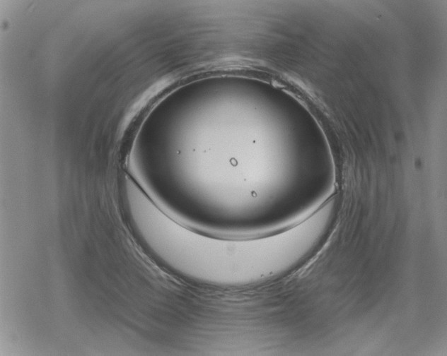 X0000070381410200606121241