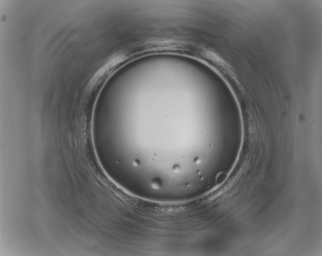 X0000070381411200606121241