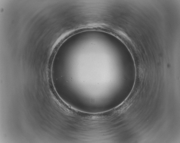 X0000070381412200606121241