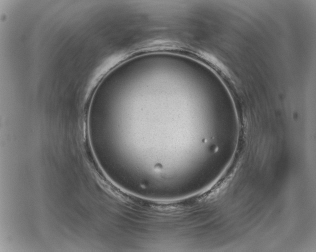 X0000070381413200606121241