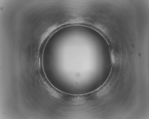 X0000070381414200606121241