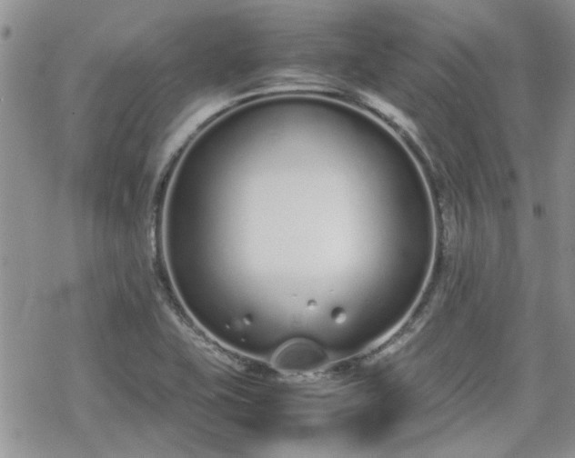 X0000070381415200606121241