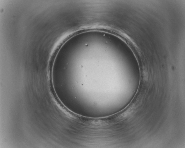 X0000070381416200606121241