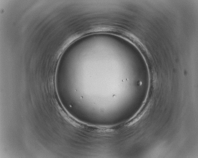 X0000070381417200606121241