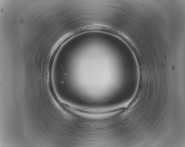 X0000070381418200606121241