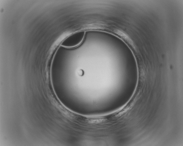 X0000070381419200606121241