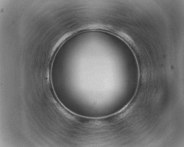 X0000070381420200606121241