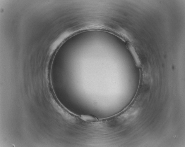 X0000070381422200606121241