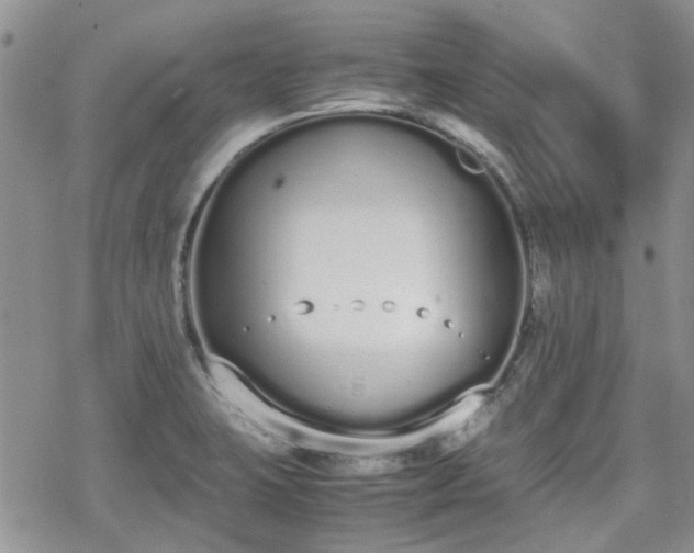 X0000070381423200606121241