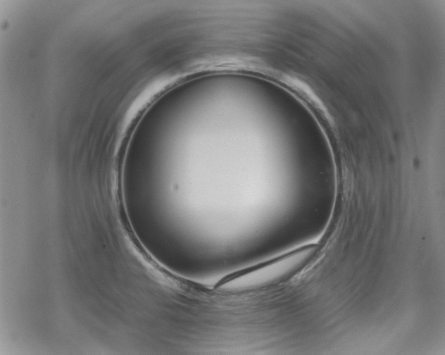 X0000070381424200606121241