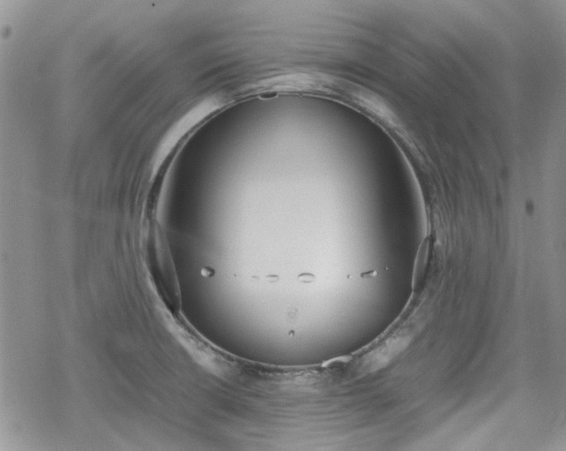 X0000070381426200606121241