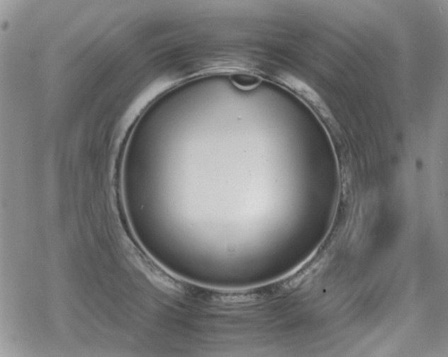 X0000070381427200606121241