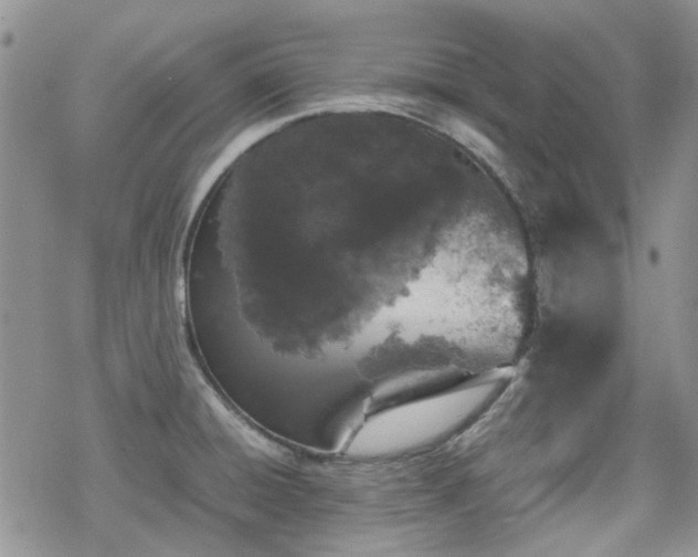 X0000070381428200606121241