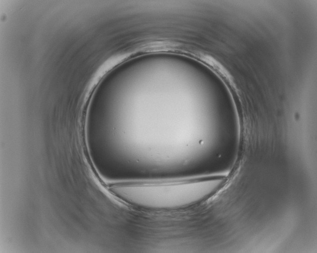 X0000070381429200606121241