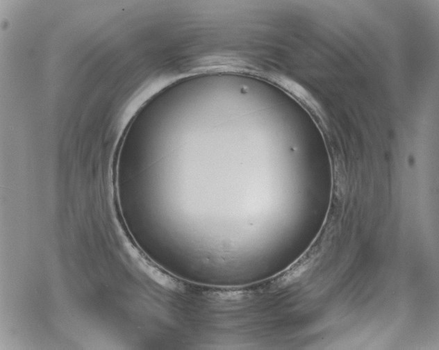 X0000070381431200606121241