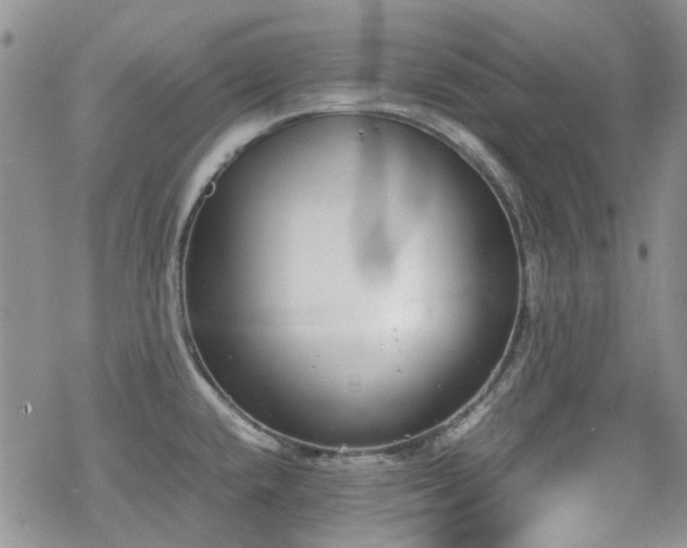 X0000070381432200606121241