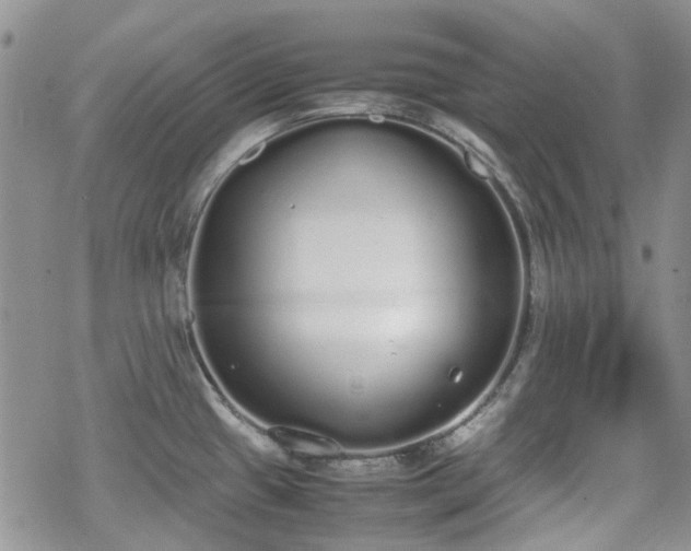 X0000070381433200606121241