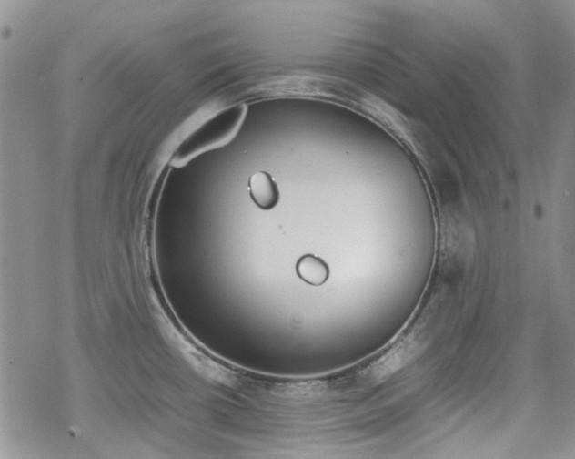 X0000070381434200606121241