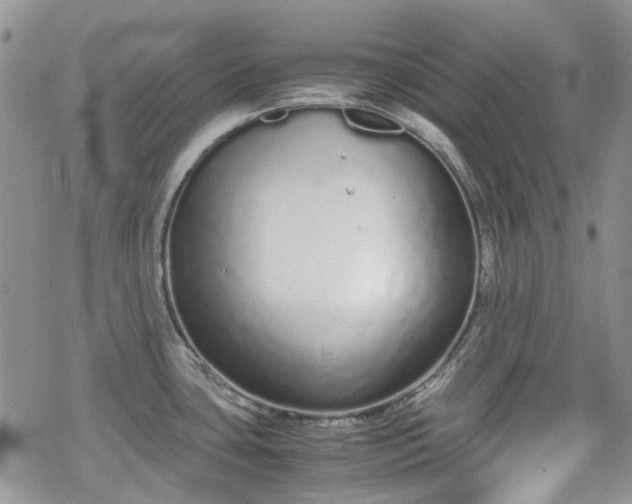 X0000070381435200606121241