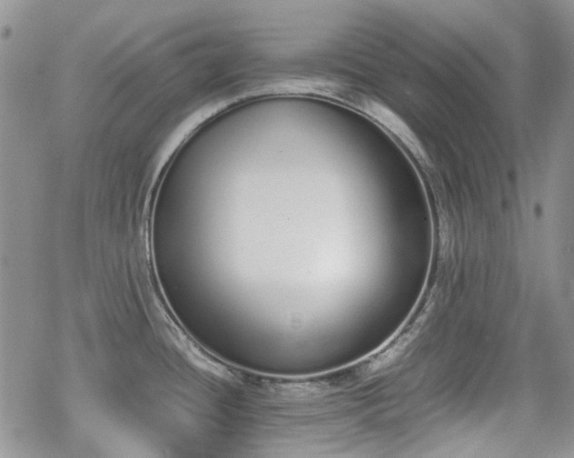 X0000070381436200606121242