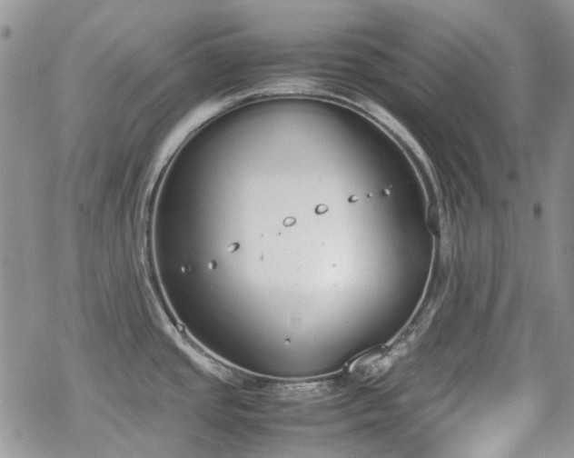 X0000070381437200606121242