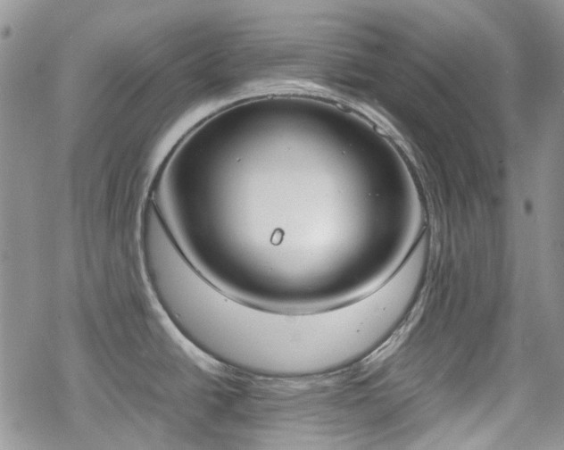 X0000070381438200606121242