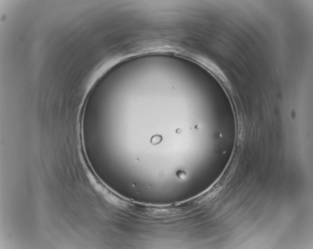 X0000070381439200606121242