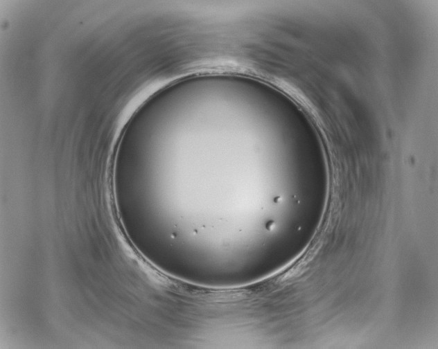 X0000070381440200606121242