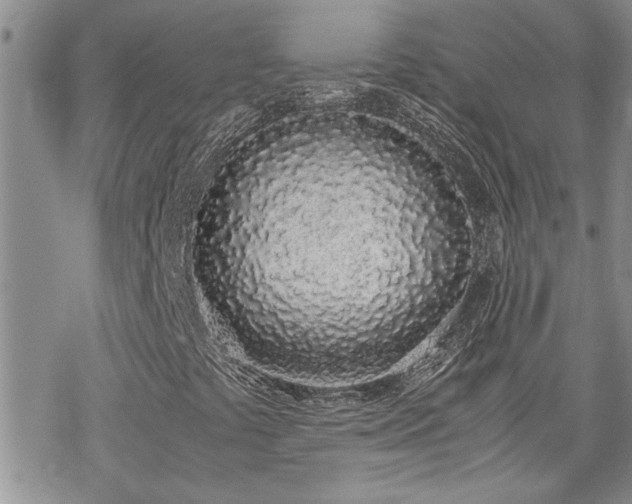 X0000070381441200606121241