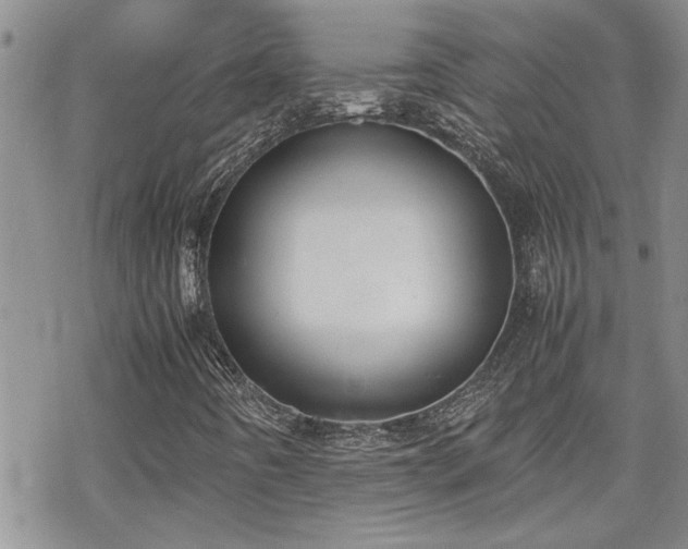 X0000070381442200606121241