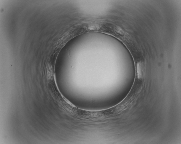 X0000070381443200606121241