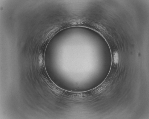 X0000070381444200606121241