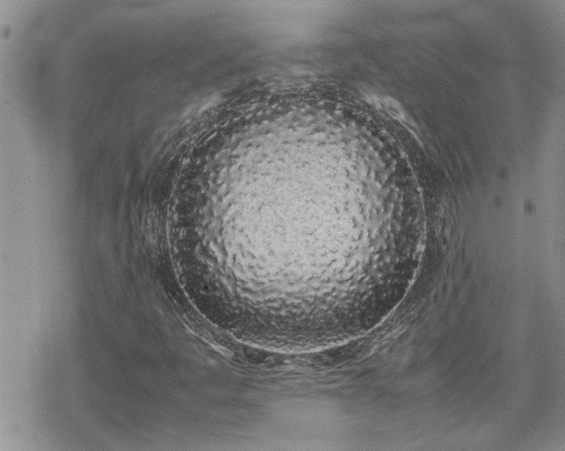 X0000070381445200606121241