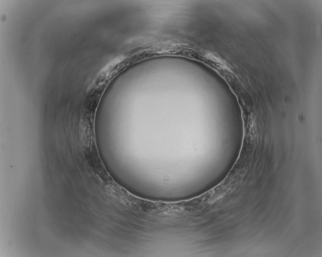 X0000070381446200606121241