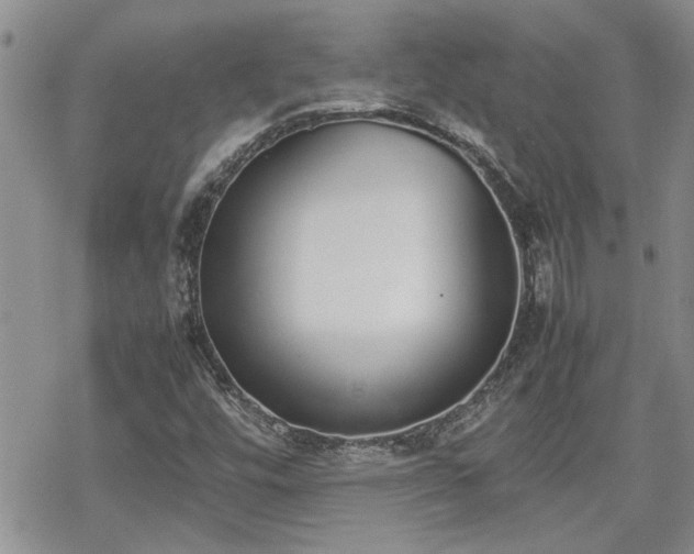 X0000070381448200606121241