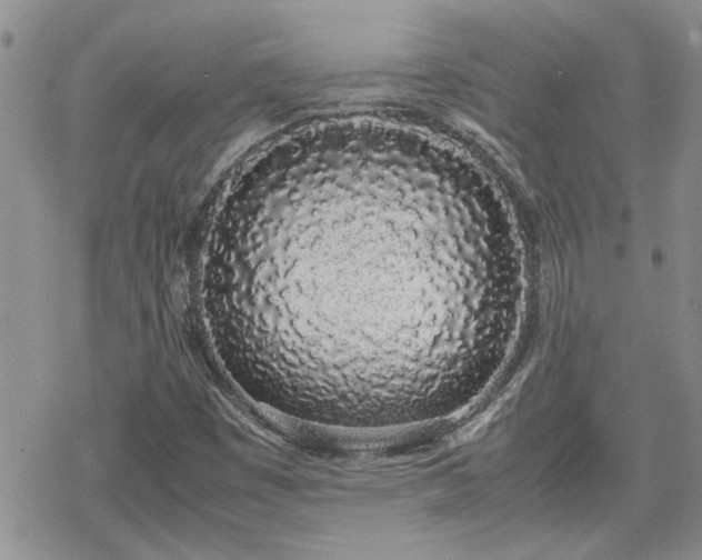 X0000070381449200606121241