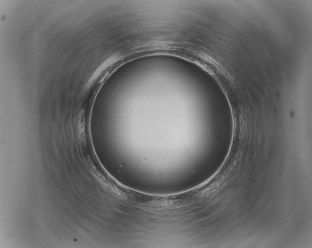 X0000070381450200606121241