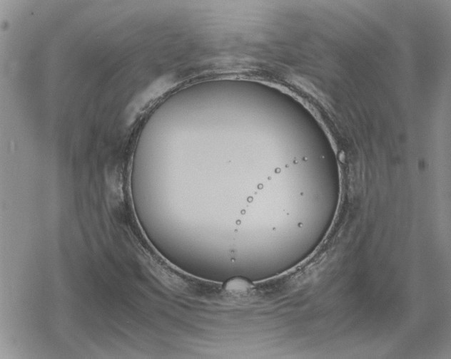 X0000070381451200606121241