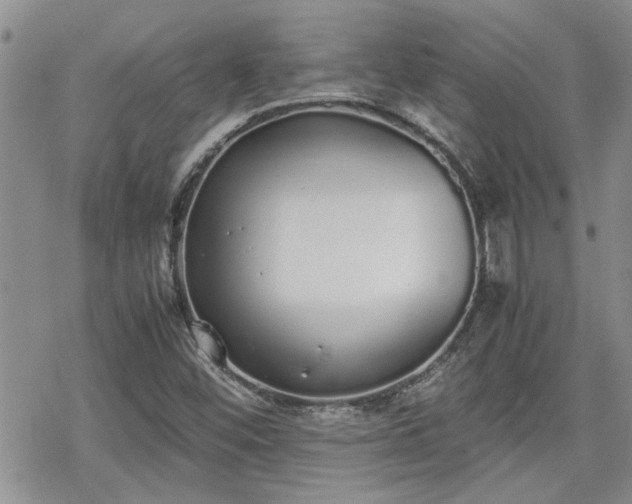 X0000070381452200606121241