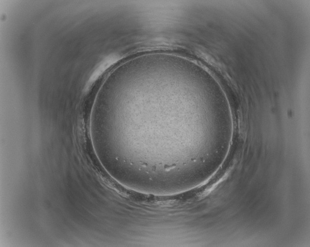 X0000070381453200606121241