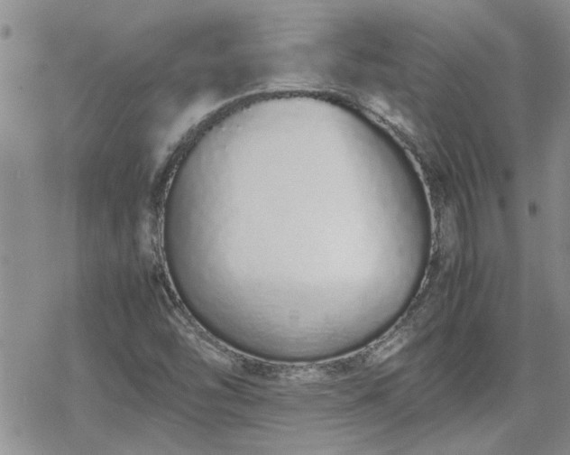 X0000070381454200606121241