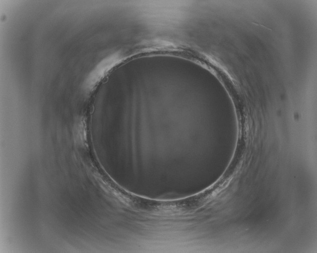 X0000070381455200606121241