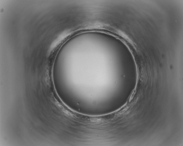 X0000070381456200606121241