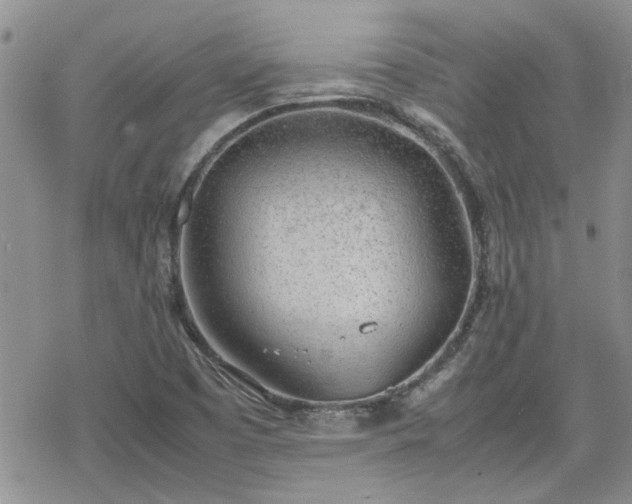 X0000070381457200606121241