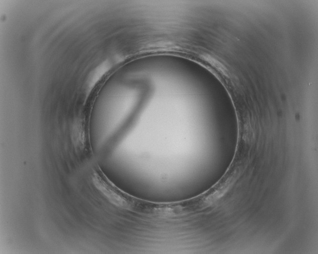 X0000070381458200606121241