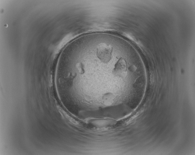 X0000070381459200606121241