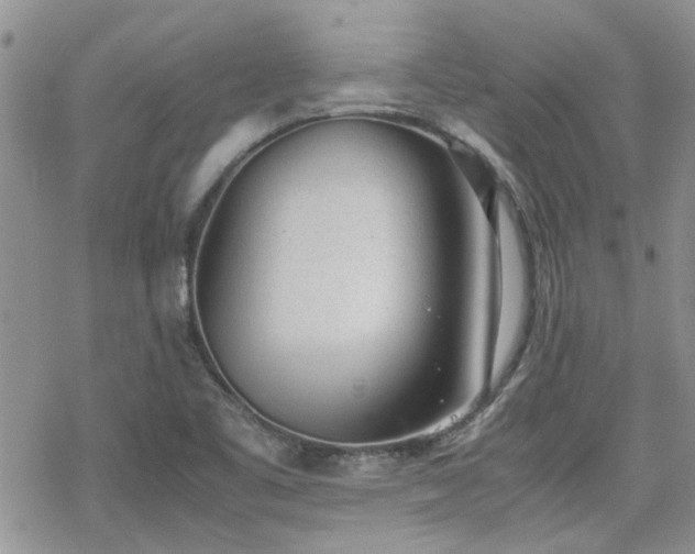 X0000070381461200606121240